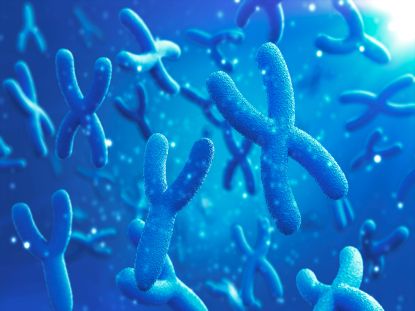Chromosome X and Y Rare Metabolic Diseases